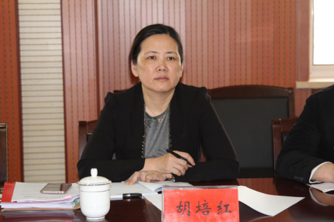 省港口集团纪委胡培红书记一行来我司调研