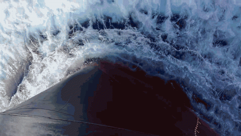 尊龙中国官网十二时辰